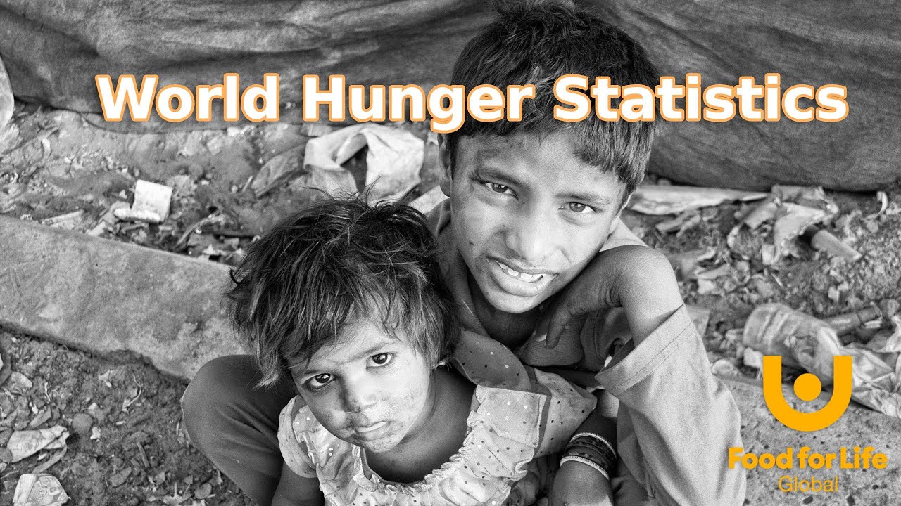 World Hunger Statistics in 2 minutes