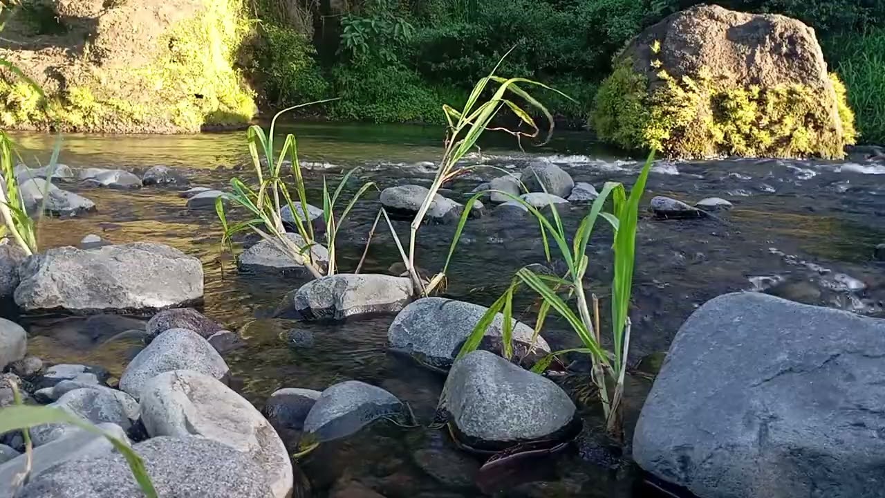 4K Crystal Clear River Rapids – Natural White Noise for Sleeping & Stress Relief