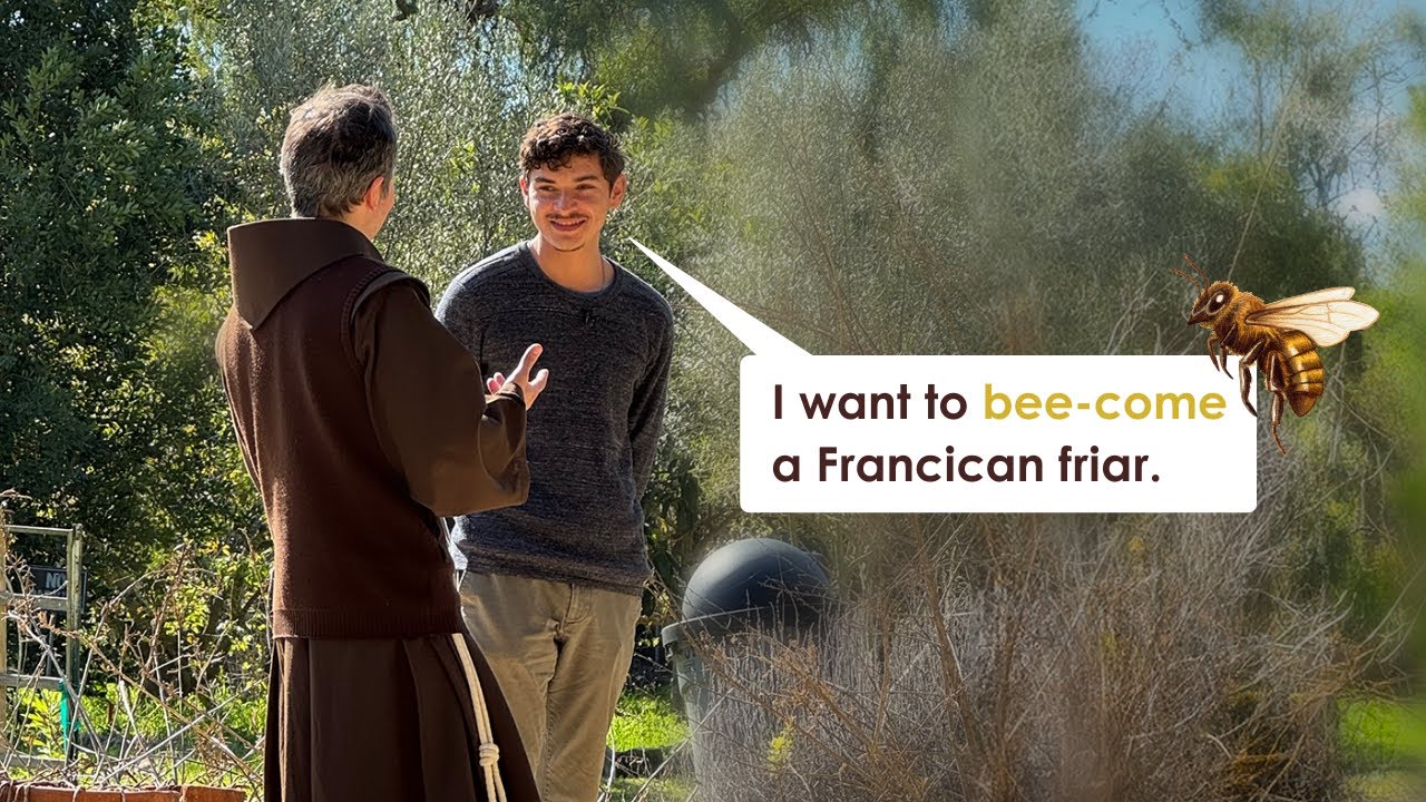 From beekeeping to bee-coming a friar: St. Francis's love of creation has one man buzzing with faith