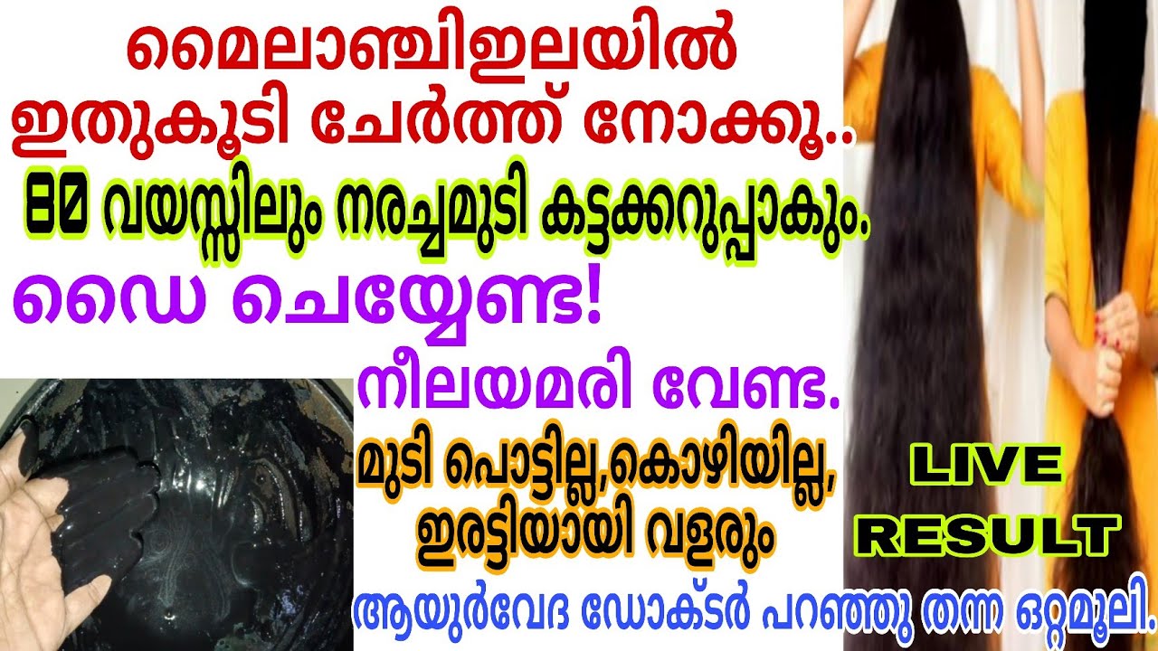 മൈലാഞ്ചി ഇലയിൽ ഇത് ചേർത്ത് നോക്കൂ 80 വയസ്സിലും നരച്ചമുടി കറുപ്പിക്കാം|നീലയമരി വേണ്ട|Natural Hairdye 