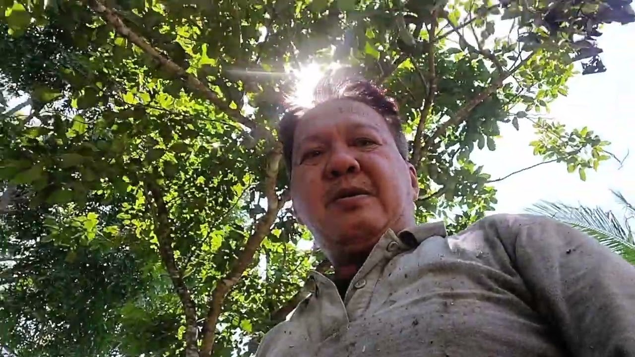 Nilagang talbos ng kamote ang ulam namin sa bukid