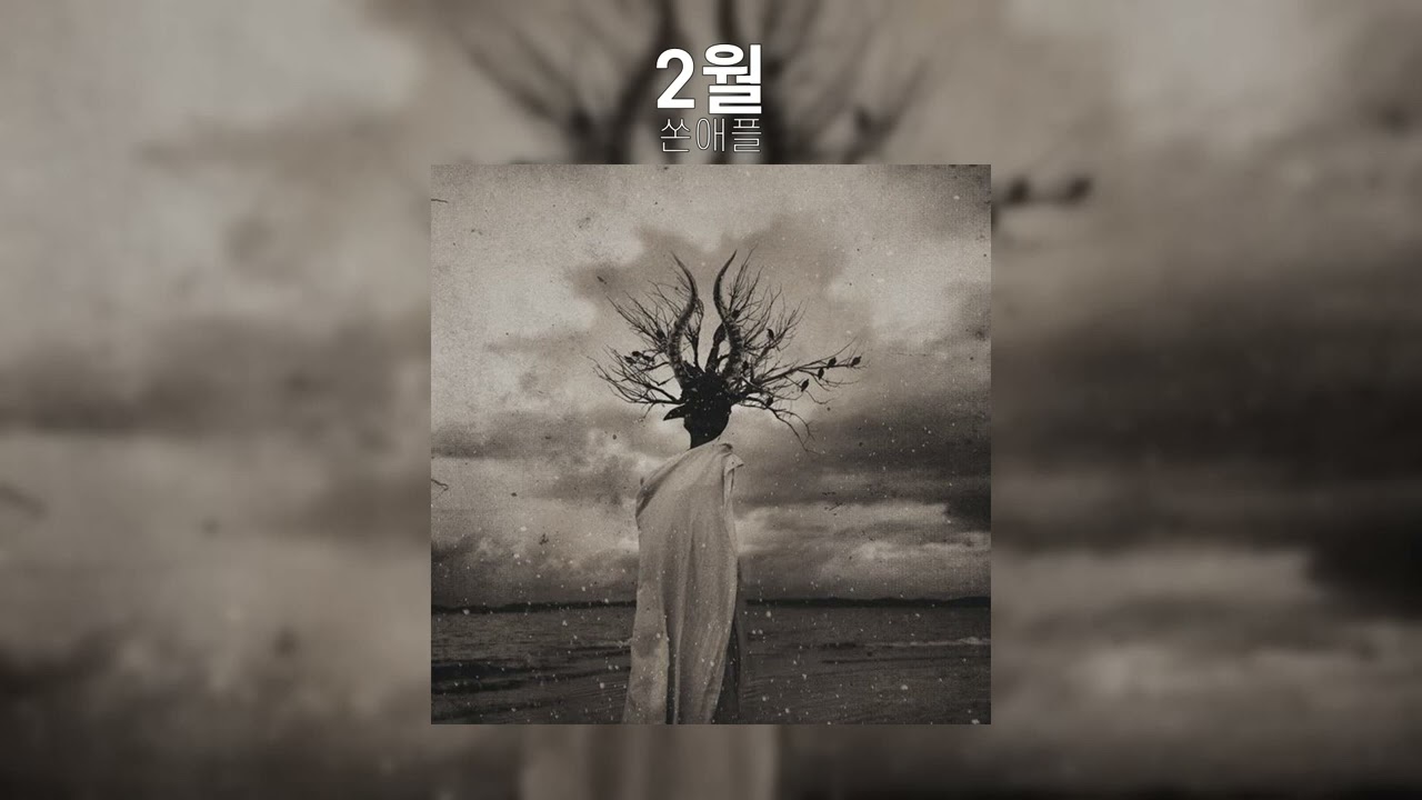 쏜애플 - 2월