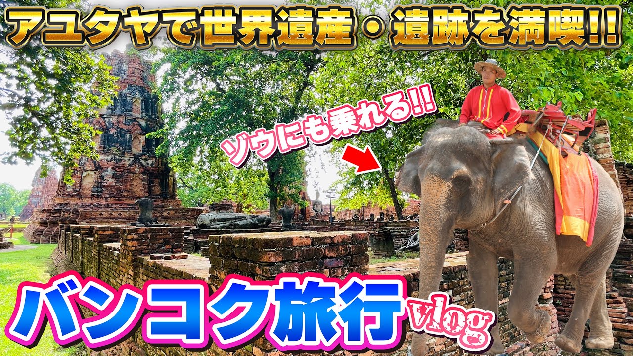 【タイ・バンコク旅行】アユタヤで世界遺産を満喫！ゾウ乗り・餌あげ体験最高に楽しい！