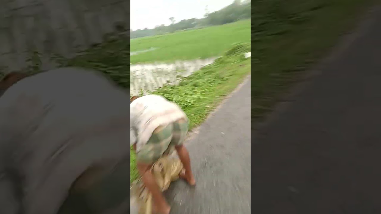 video 20251005 122901