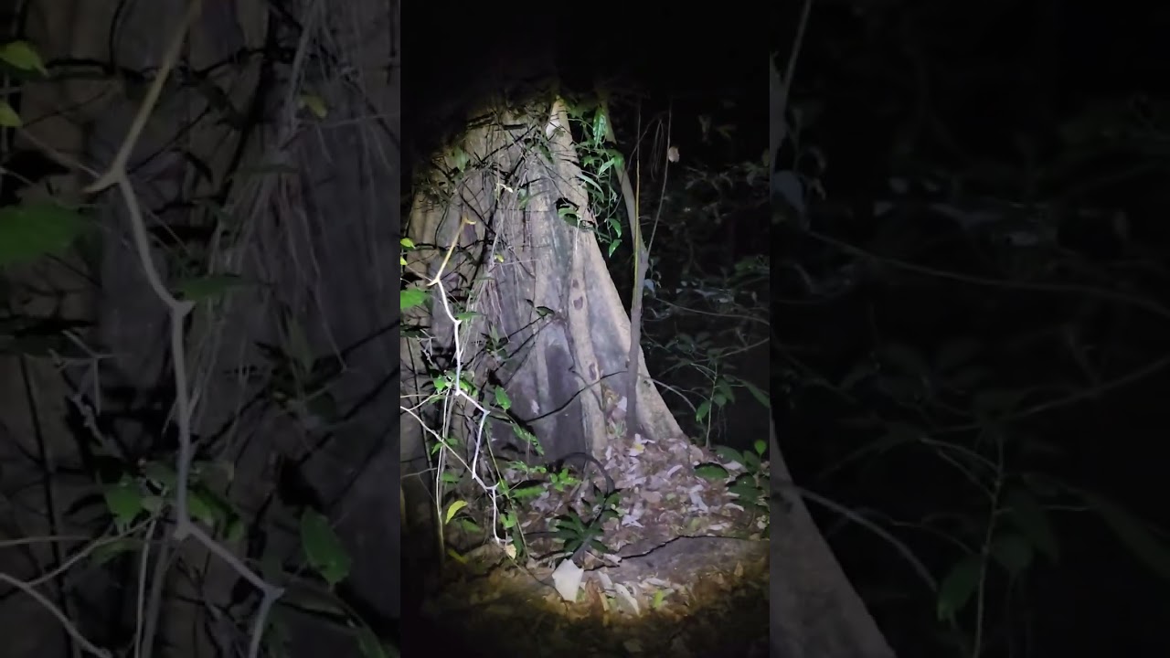 @ la cueva del  bandido 