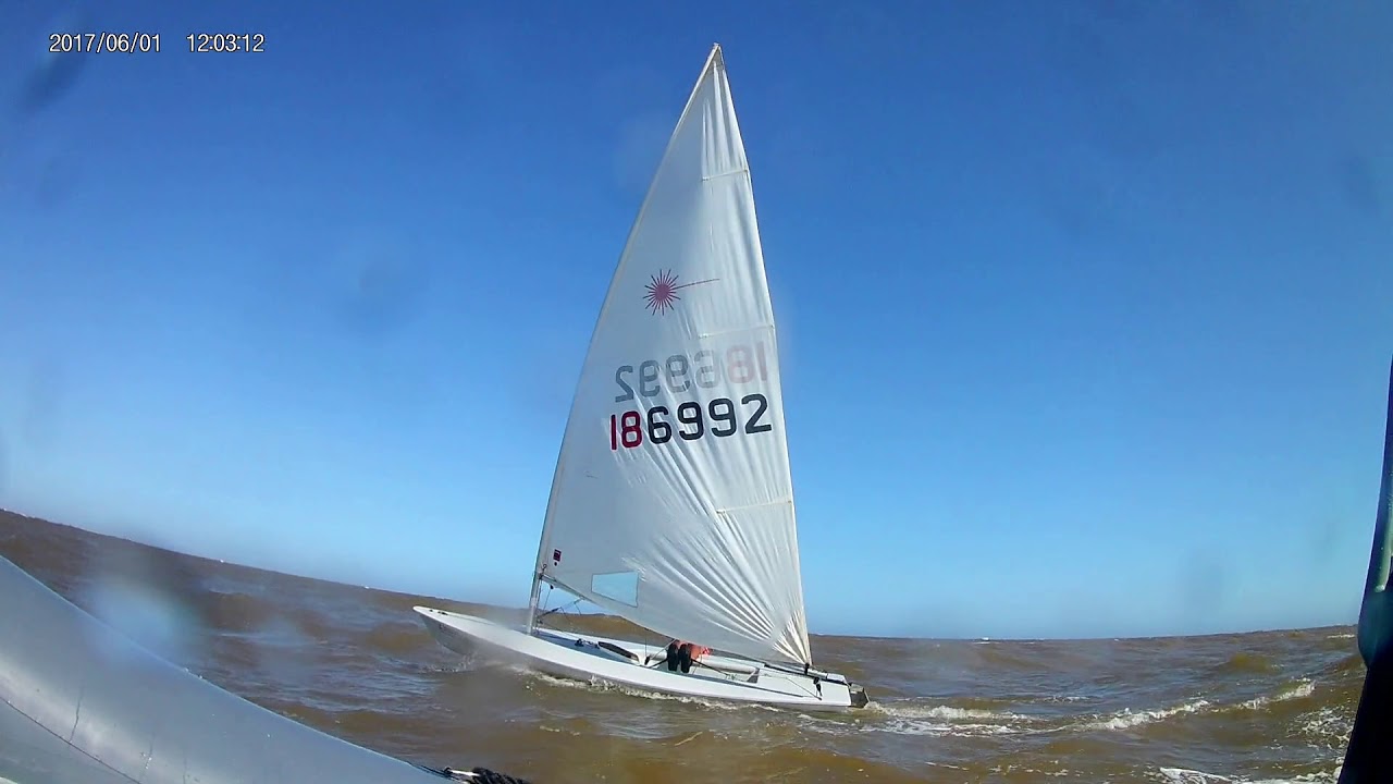 Laser & J24 sailing | YCU