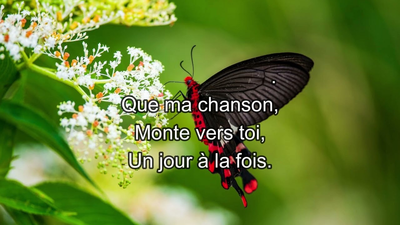Un jour à la fois  | J'ai toujours voulu | Instrumental piano