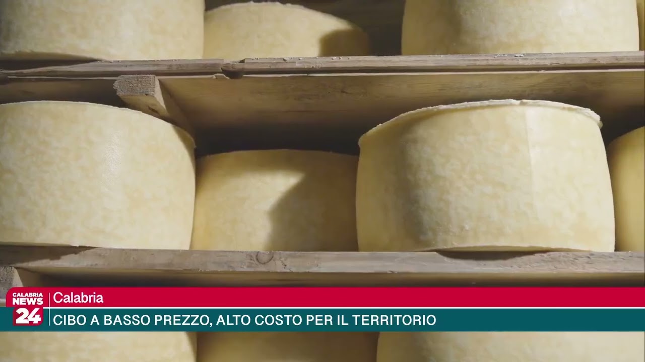 Calabria - CIBO A BASSO PREZZO, ALTO COSTO PER IL TERRITORIO

Visita il nostro sito:
🌐…
