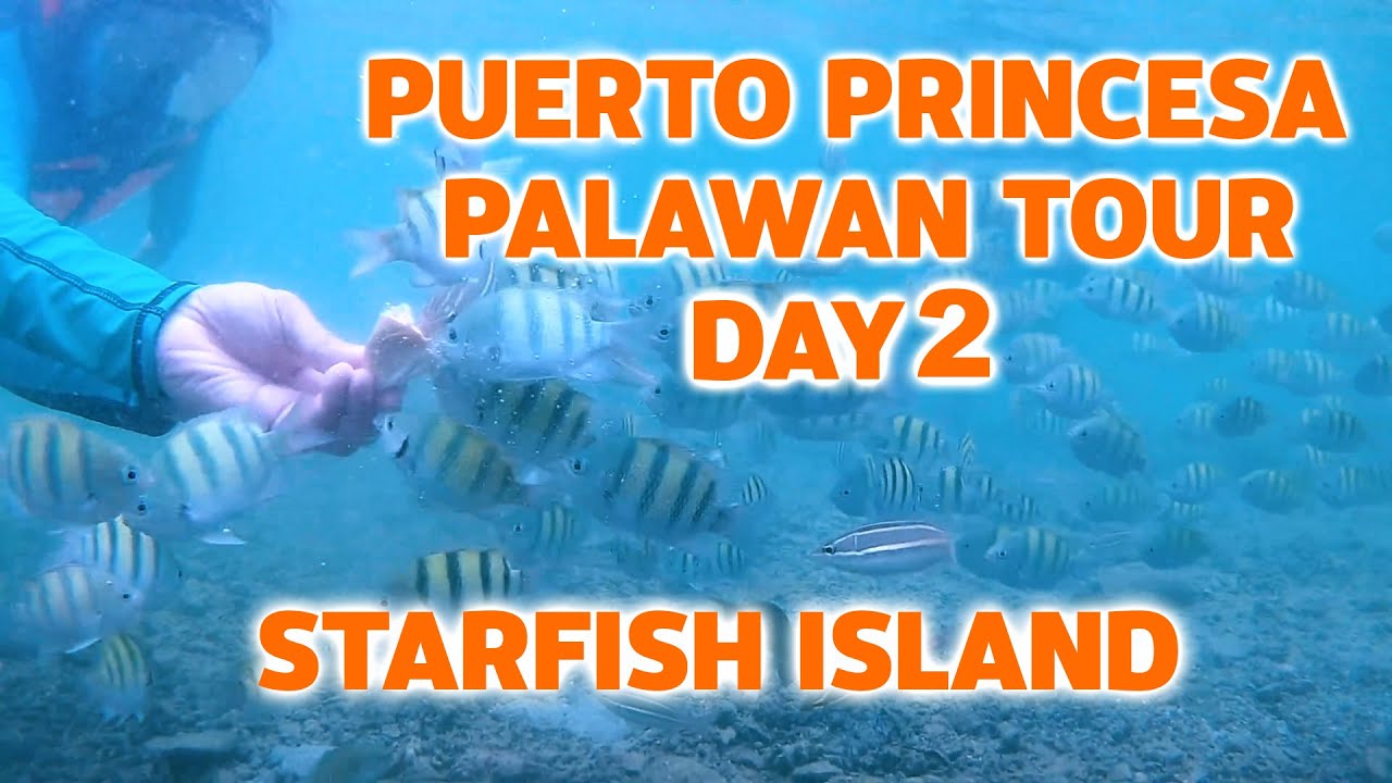Puerto Princesa Palawan Vacation Day 2 - Baywalk, Honda Bay, Starfish Island | VLOG EP2