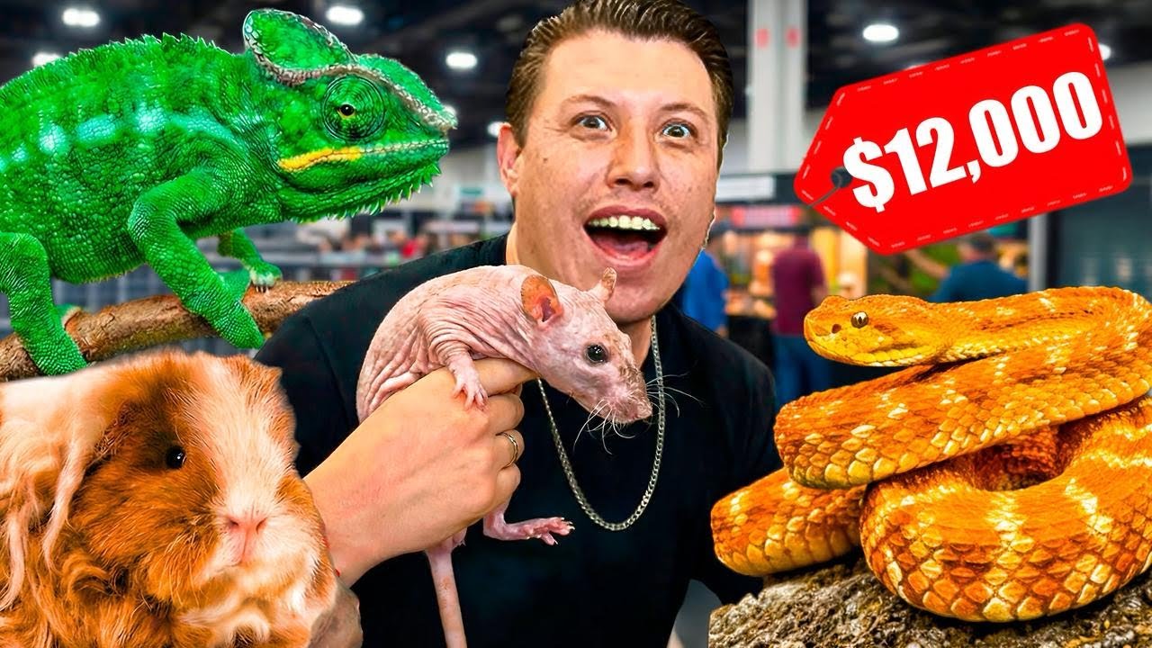 Buscando los ANIMALES mas EXTRAÑOS de ANIMALIA