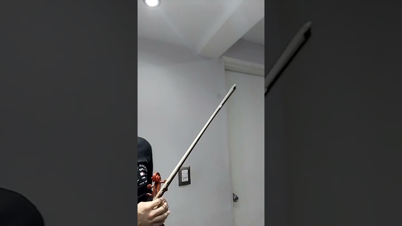 Ella en LA, violín garibaldi