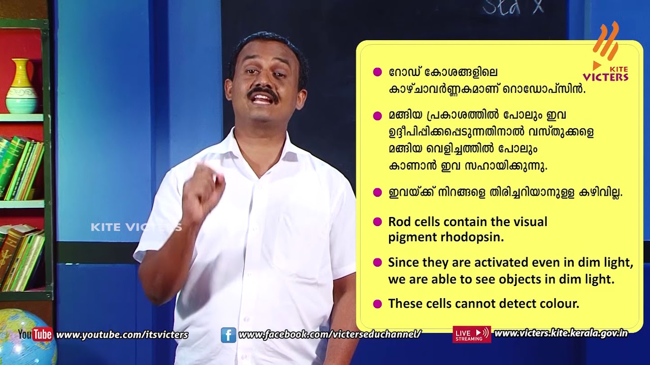 KITE VICTERS STD 10 Biology Class 12 (First Bell-ഫസ്റ്റ് ബെല്‍)
