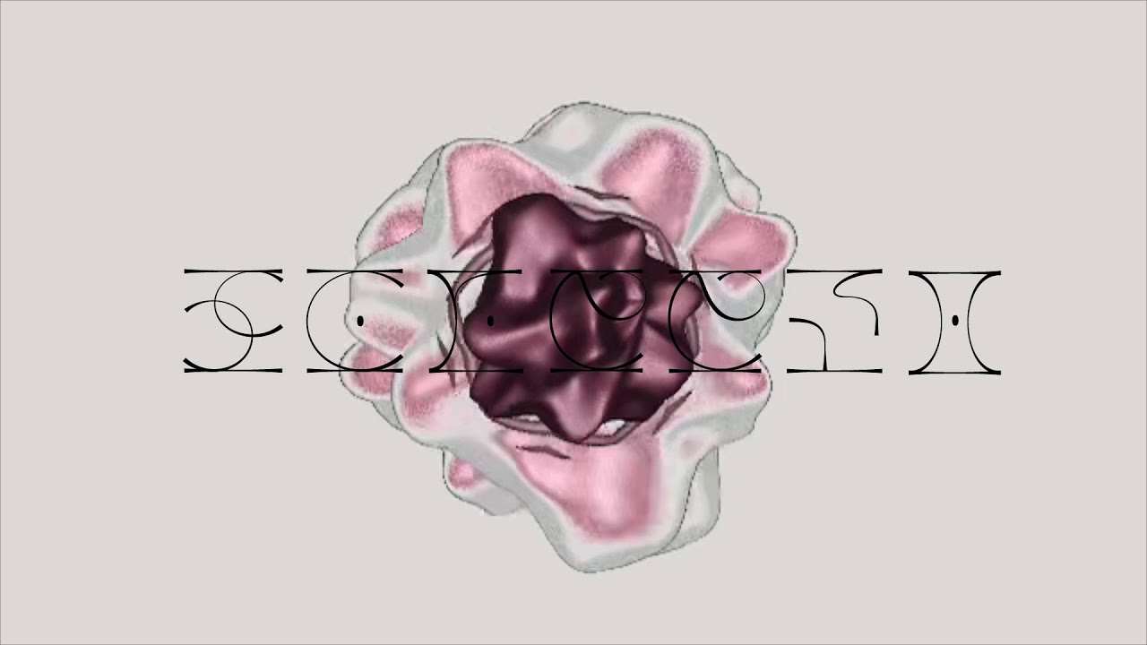 回路 - 原口沙輔【visualizer】