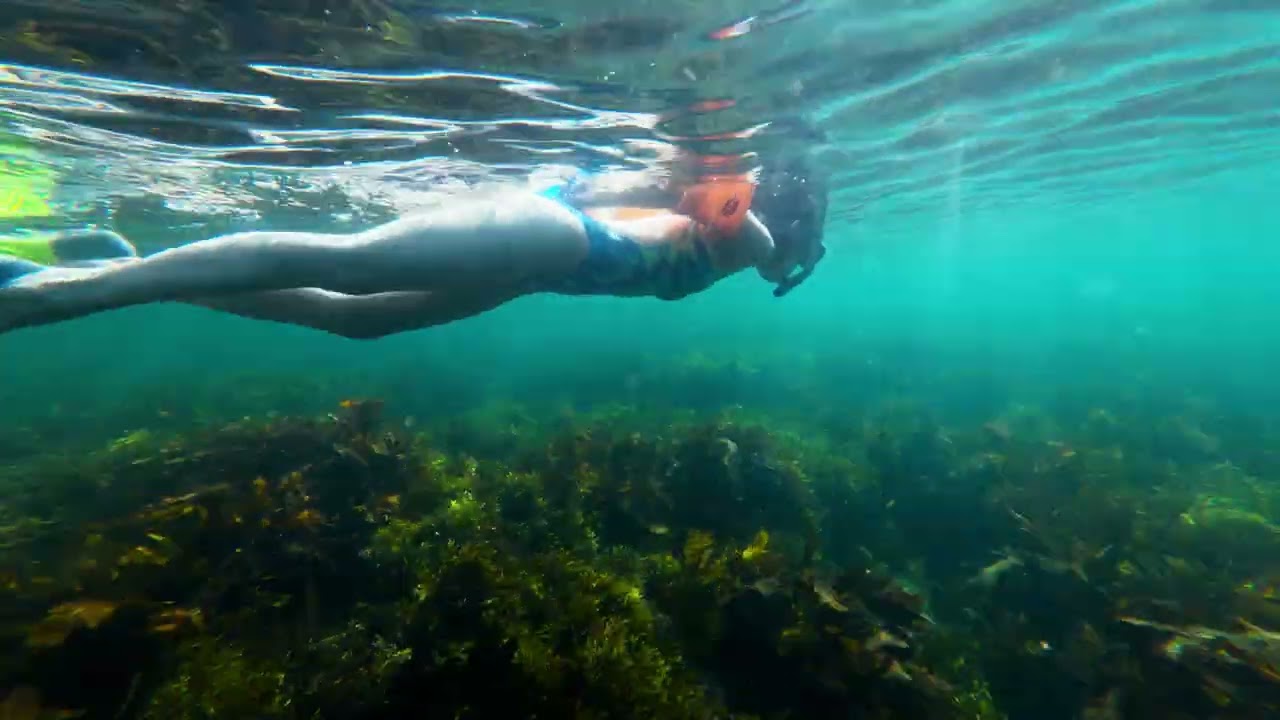 DJI Osmo Action 6 underwater filming at Shelly Beach, Australia