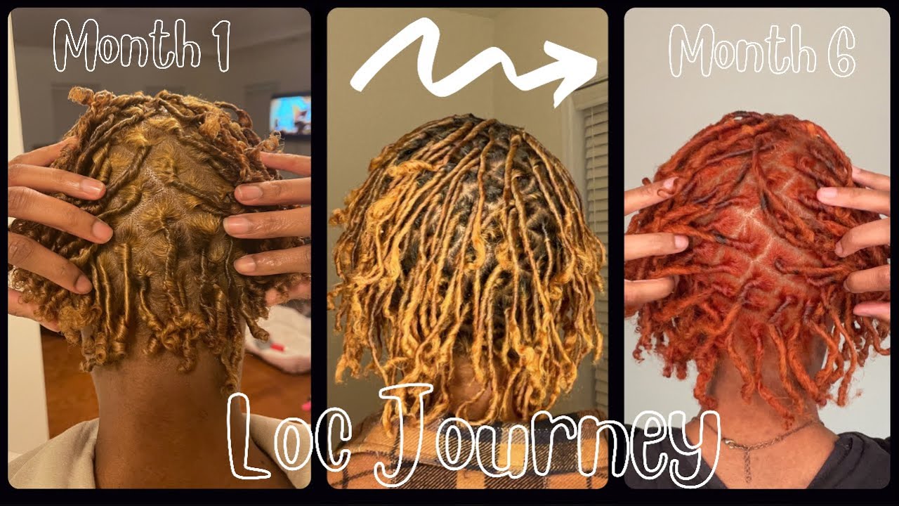 Visual 6 Month Loc Journey | Lots Of Pictures And Videos | Comb Coil Method