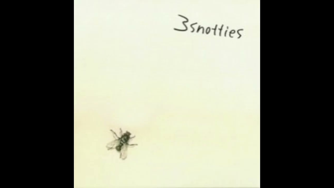 3Snotties - Anything CDEP (2005) Pop Punk
