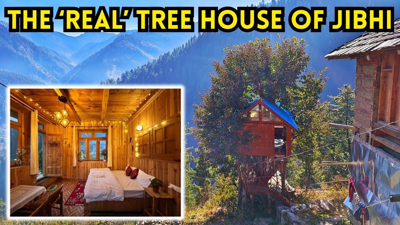 BEST TREE HOUSE TO STAY IN JIBHI AND TANDI | BUDGET FRIENDLY TREE HOUSE WITH ATTIC
