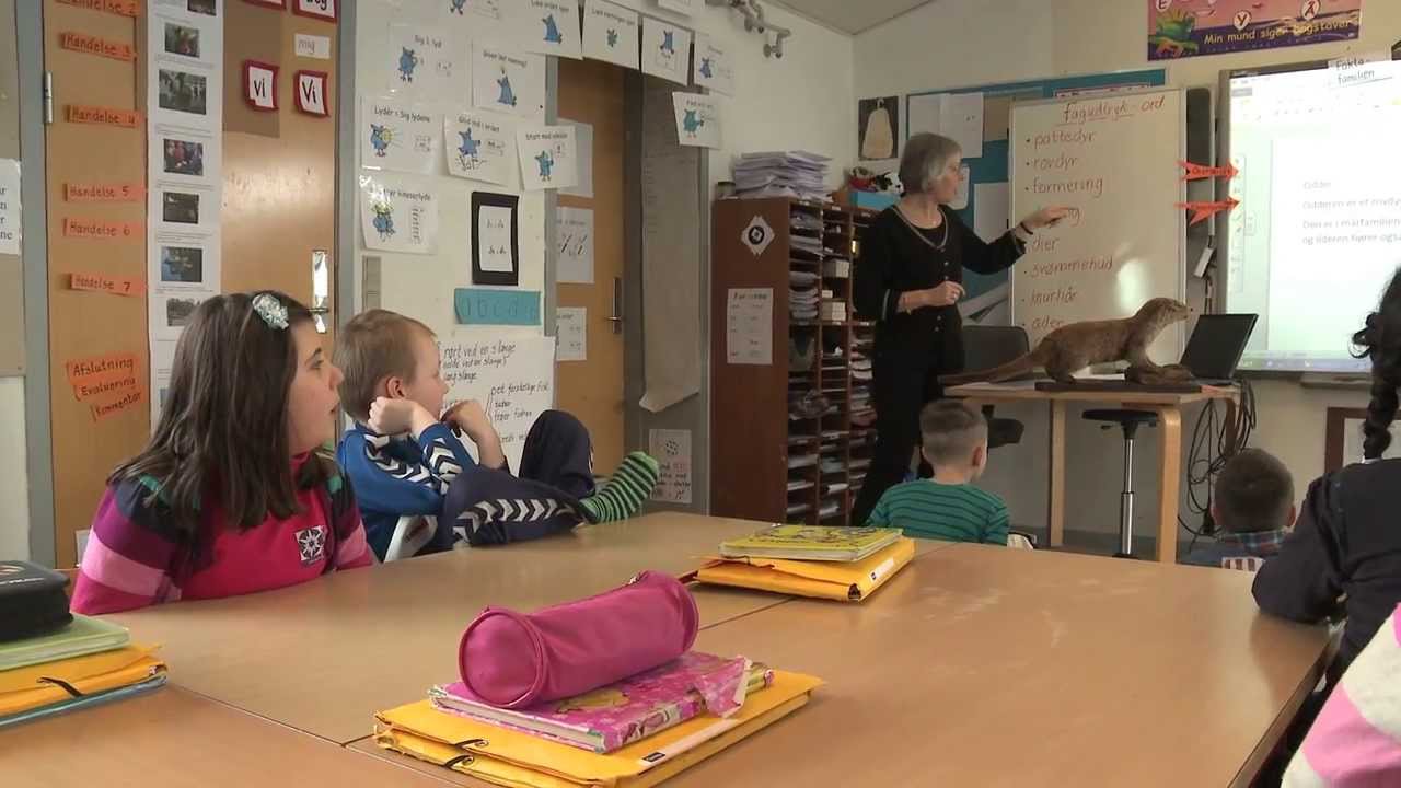 Teaching Learning Cycle - fase 1, 2 og 3. Dansk 1. klasse
