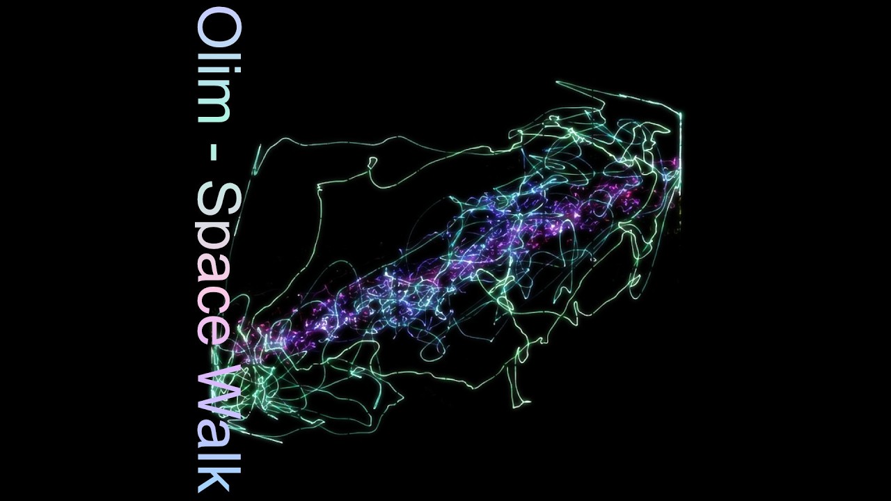 Olim - survive (Official Video) Visualiser