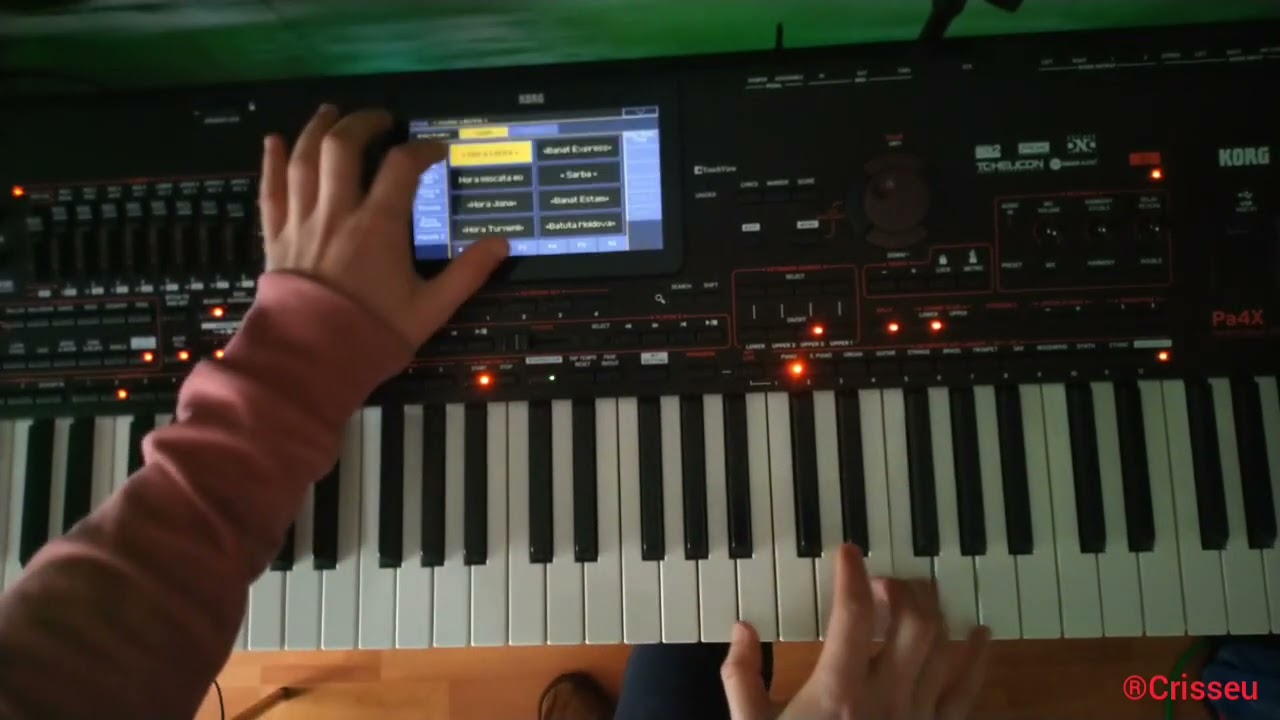 #V432 🎹🚦Dragă tată (probă)+sârbă (probă)🤷🏻‍♂️