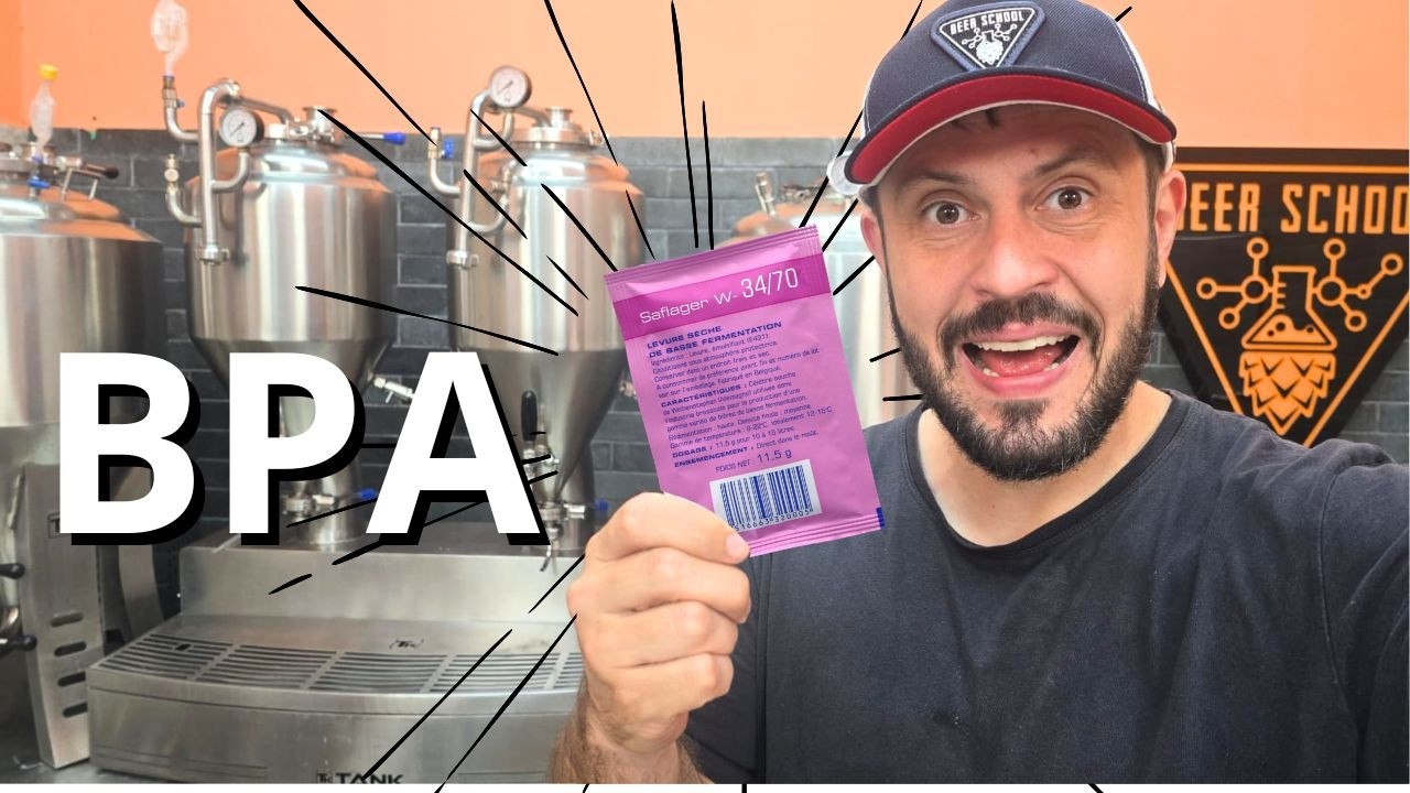 Brazilian Pale Ale - Malte Viena + Levedura W34/70 - Diário Cervejeiro 4