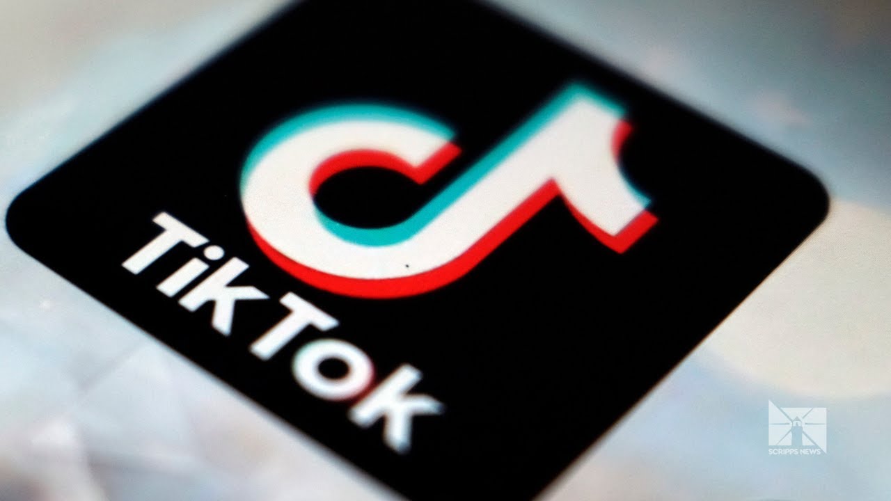 TikTok's new terms of service spark backlash, but experts say they're an industry standard