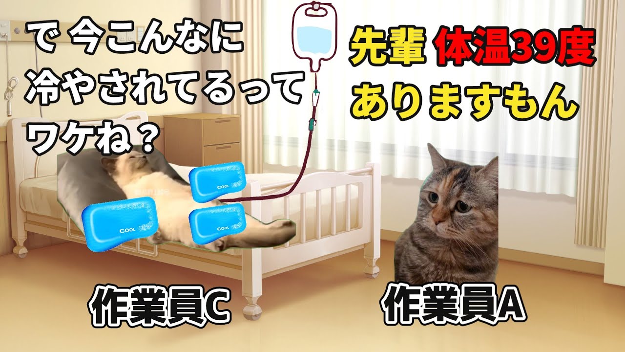 仕事中に熱中症になり そのまま…誰にでも起こりうる悲劇【猫ミーム】