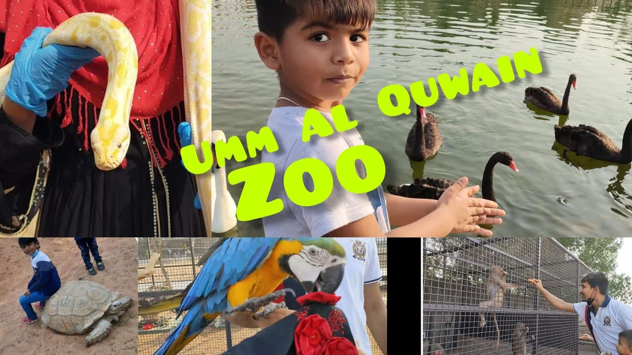 umm Al Quwain zoo / wild life park / zoo in Dubai / Tamil vlog