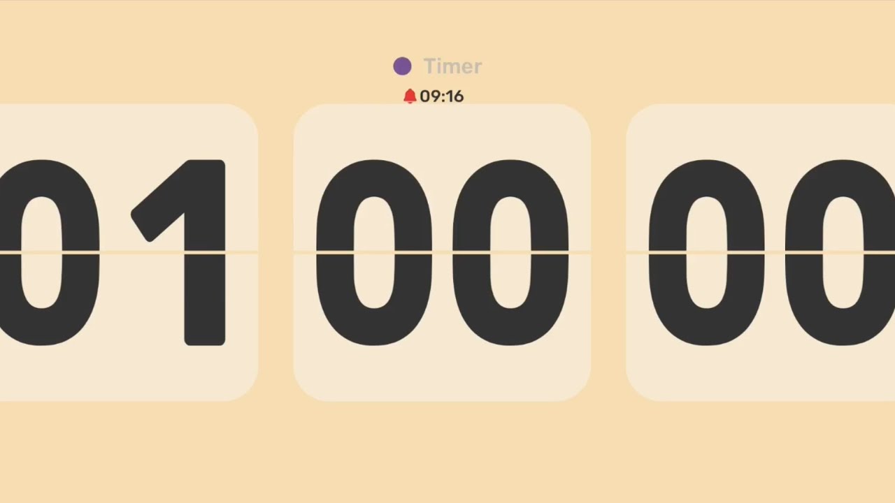 1 Hour Timer | Silent | No Countdown 