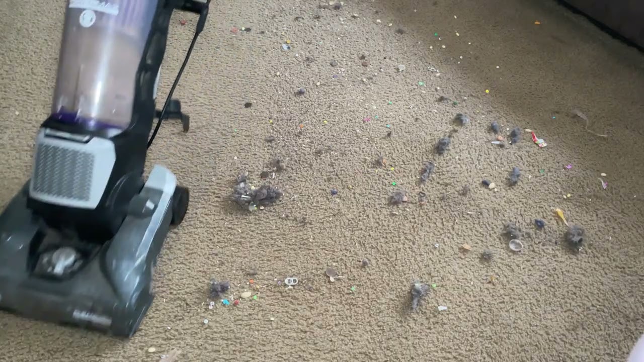 ASMR / Vacuuming / Unmicd / Brush roll