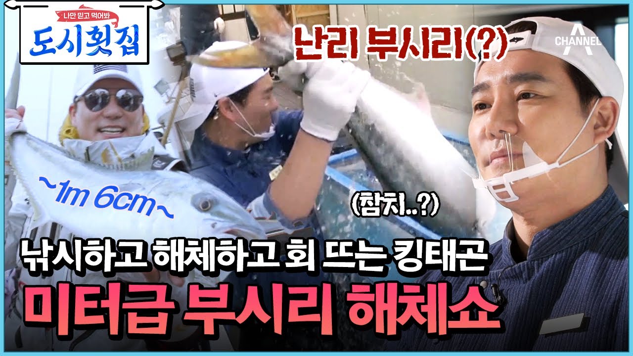 [#도시횟집] 상남자의 부시리 해체쇼♨ 1m6cm 대물 부시리 한 마리 몰고 가세요~ #이태곤 #낚시 | 도시횟집 7 회