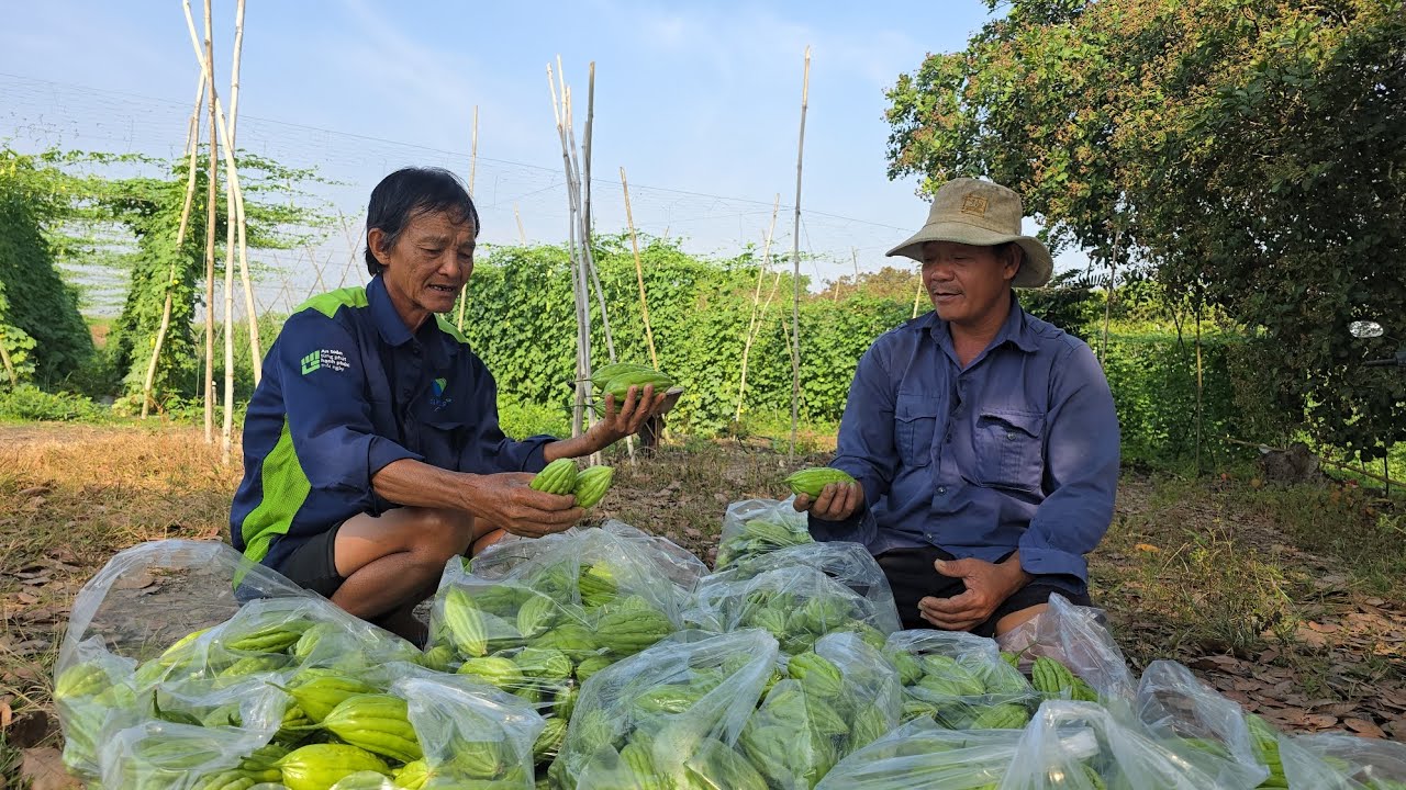 Khổ qua tết năm nay nhắm sao đây Bà Con ơi