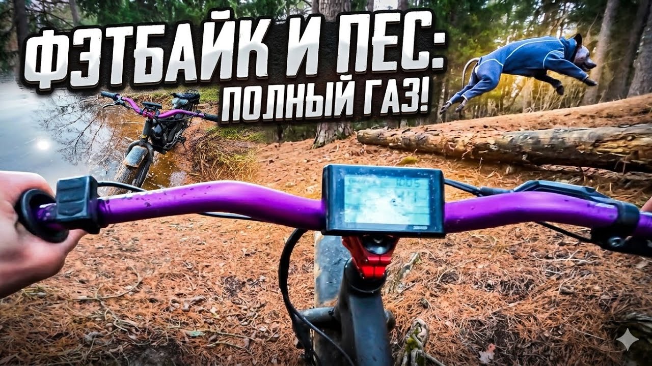 20 км с Карлосом: день на фэтбайке с лучшим другом