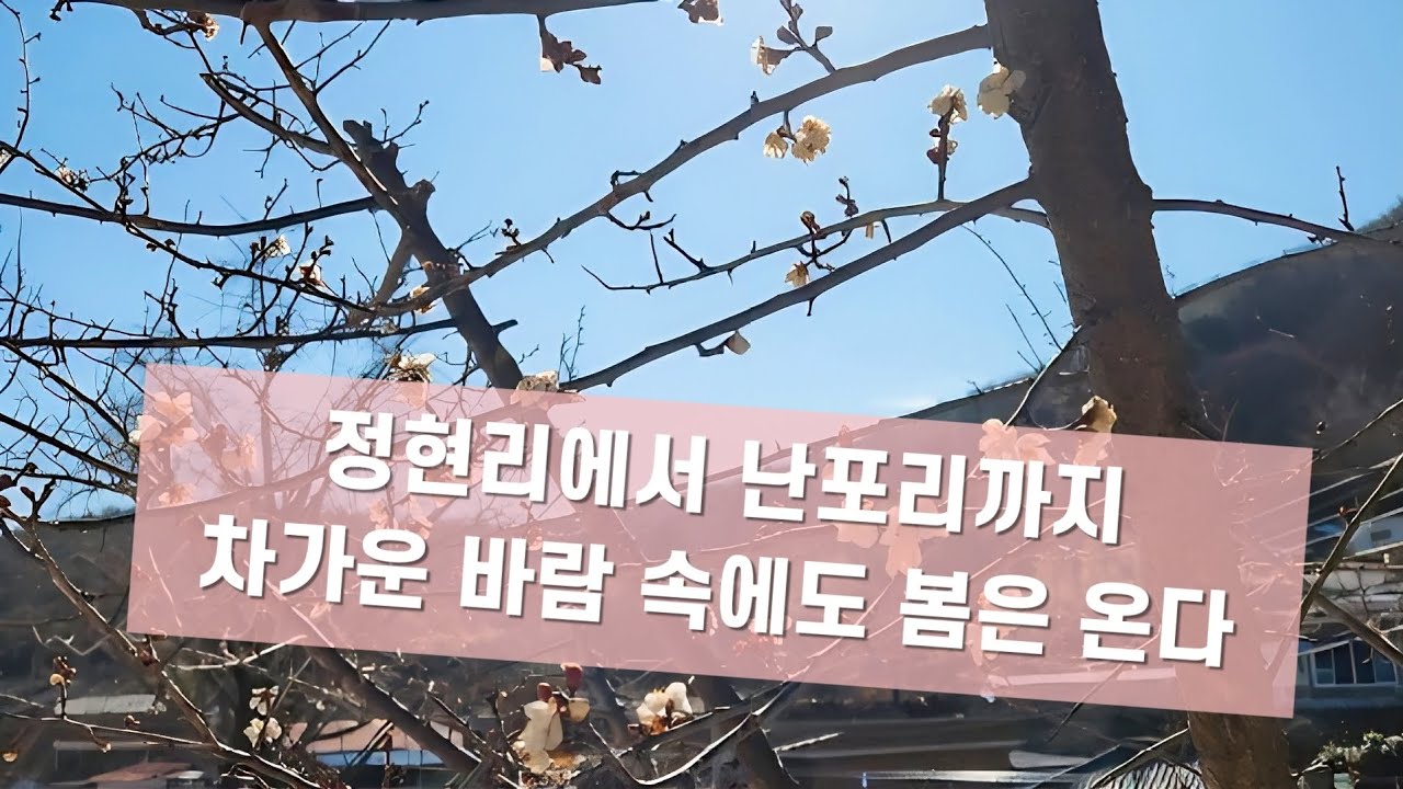 정현리에서 난포리까지~ 이모네 텃밭에서 울 텃밭까지 텃밭 투어!!