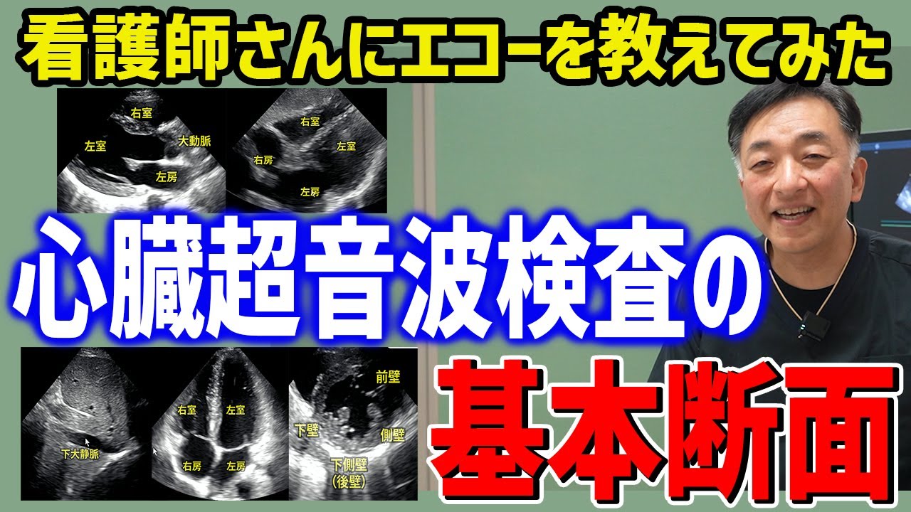 【看護師さんと学ぶエコー】心臓超音波検査で重要な5つの断面！”FoCUSプロトコール”