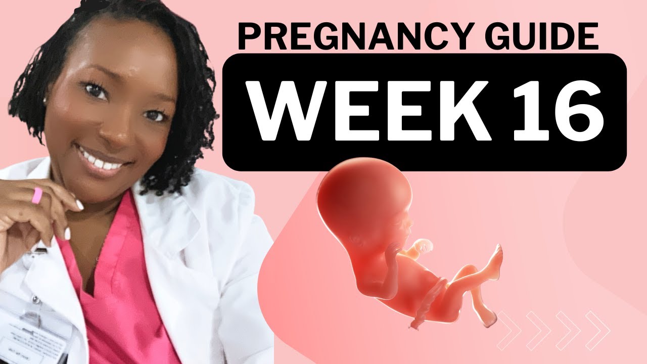 16 Weeks Pregnant: What To Expect