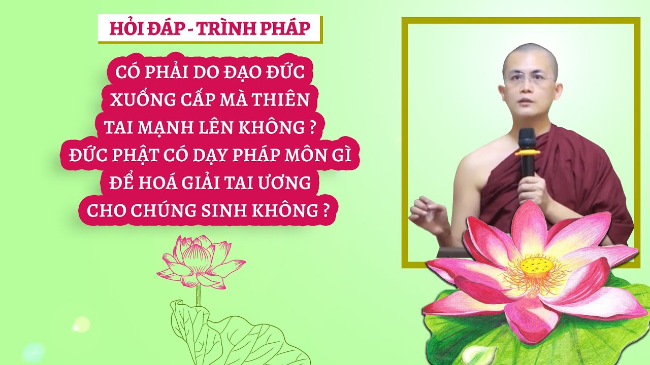 Hỏi đáp - Trình pháp ngày 14.09.2024 | Sư Thanh Minh | Chùa Phúc Minh