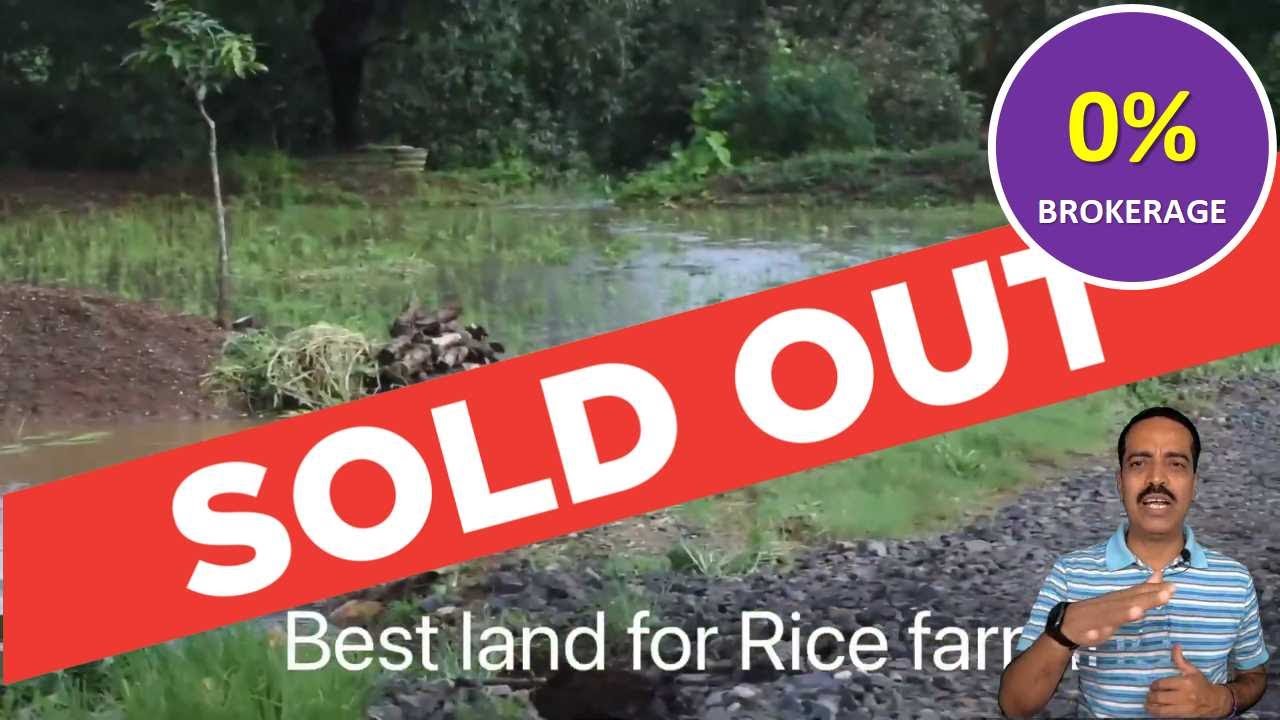 Clear Title Agricultural & Farm Land for Sale in Mulshi, Pune | 21 Guntha | Tar Road access
