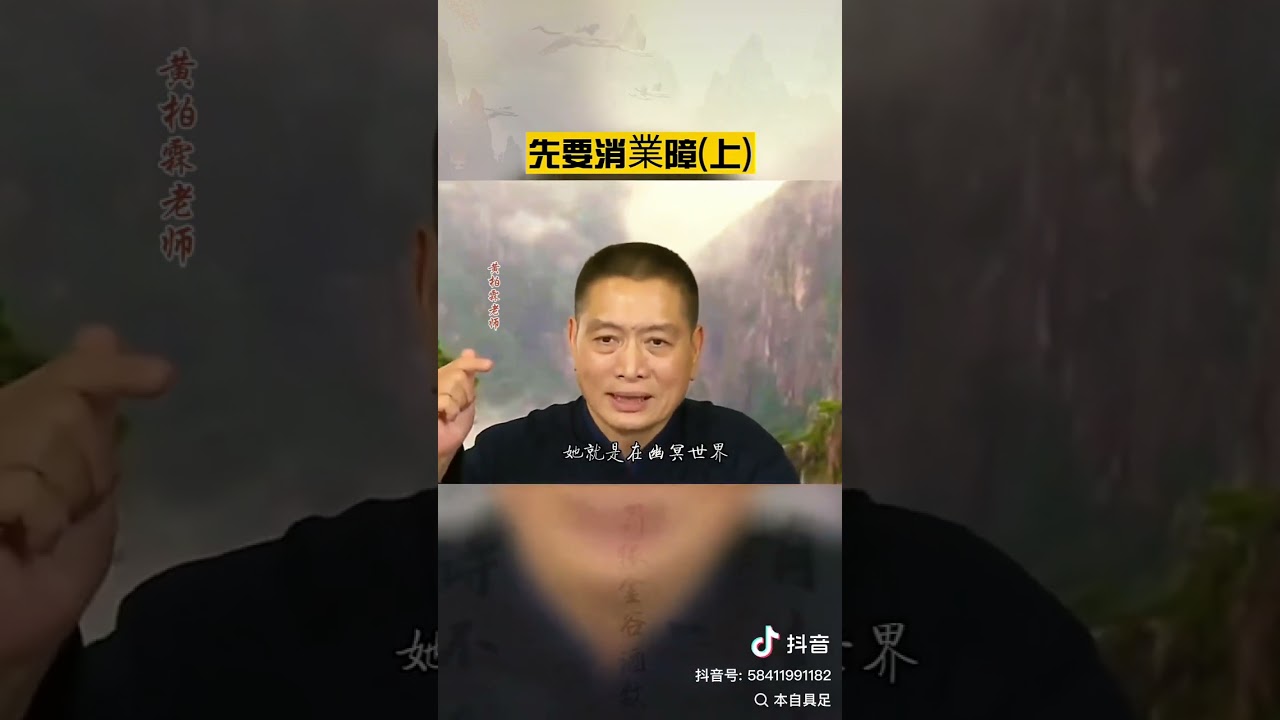 老恩师法语