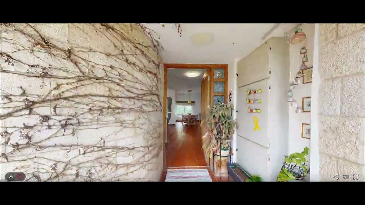 Treedis | S+
