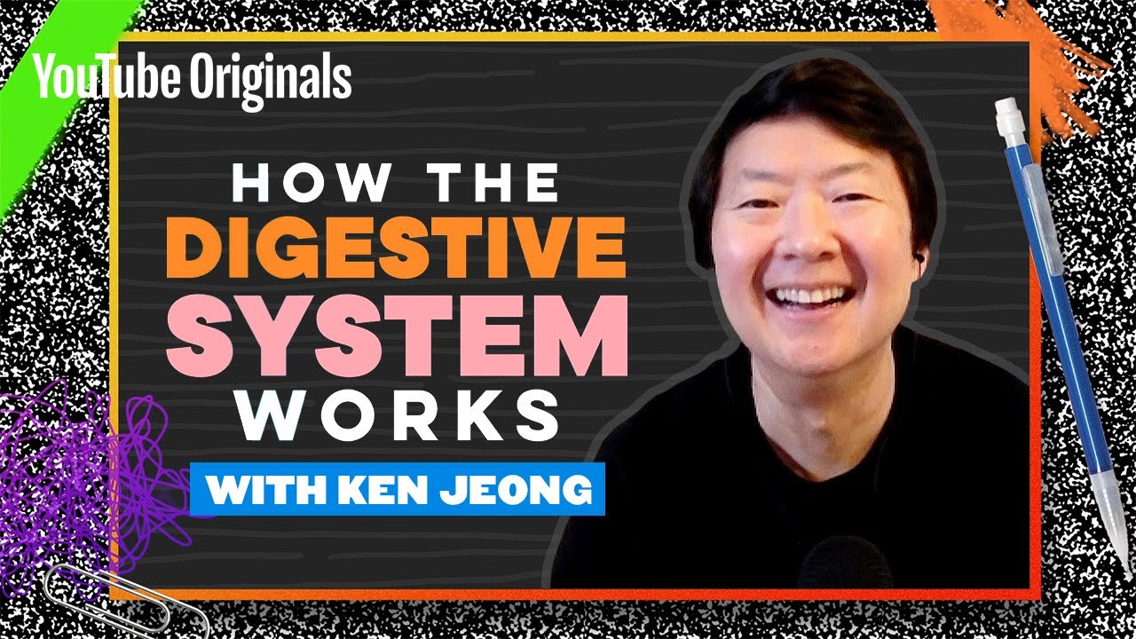 Your Guts, Explained by Ken Jeong | Celebrity Substitute