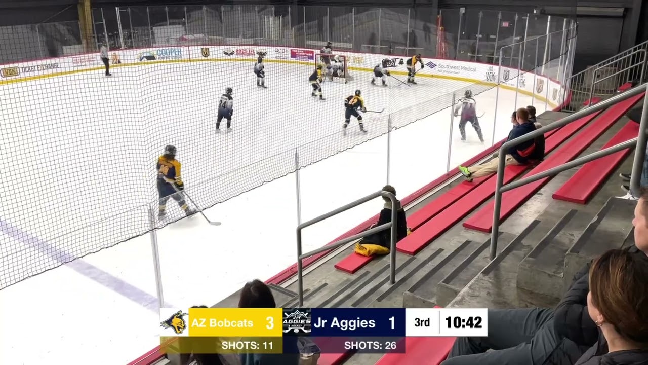 18UAA vs AZ Bobcats Highlights