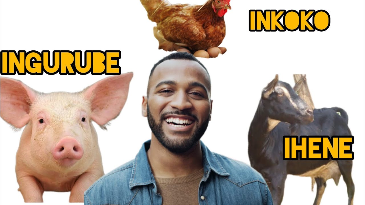 INGURUBE,INKOKO N'IHENE NUBUHE BWOROZI BWUNGUKA CYANE KURUSHA UBUNDI