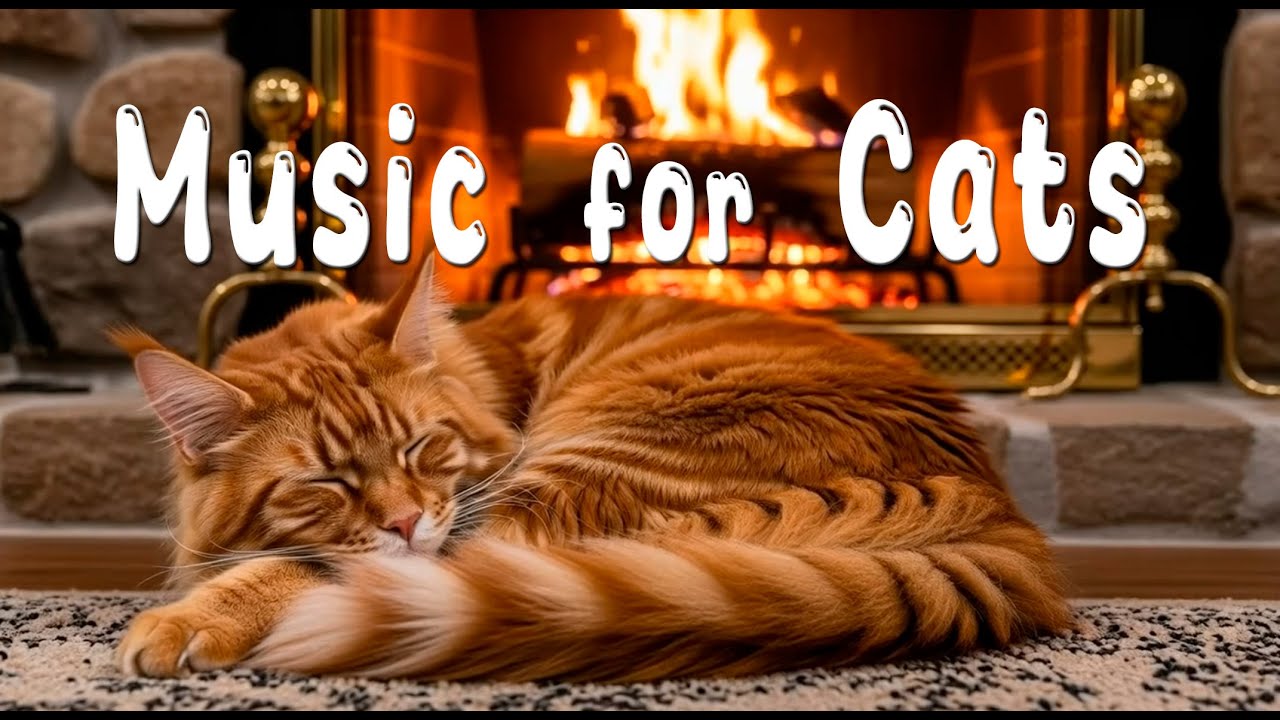 Relaxing Music for Cats 😻 Healing Chill Cats Music for Deep Sleep and Relaxation