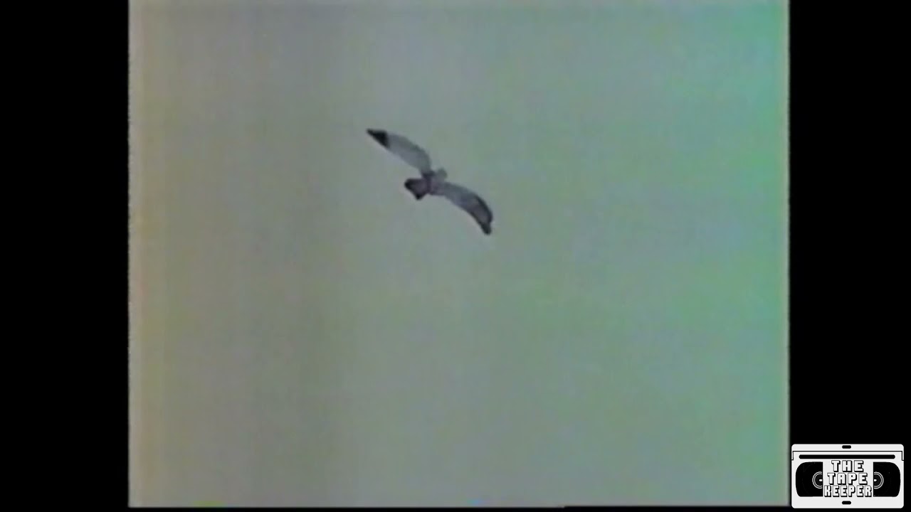 CBC CBLT Ident and Sign Off - With O' Canada, Station information, and Buzzer - CBC CBLT 2001