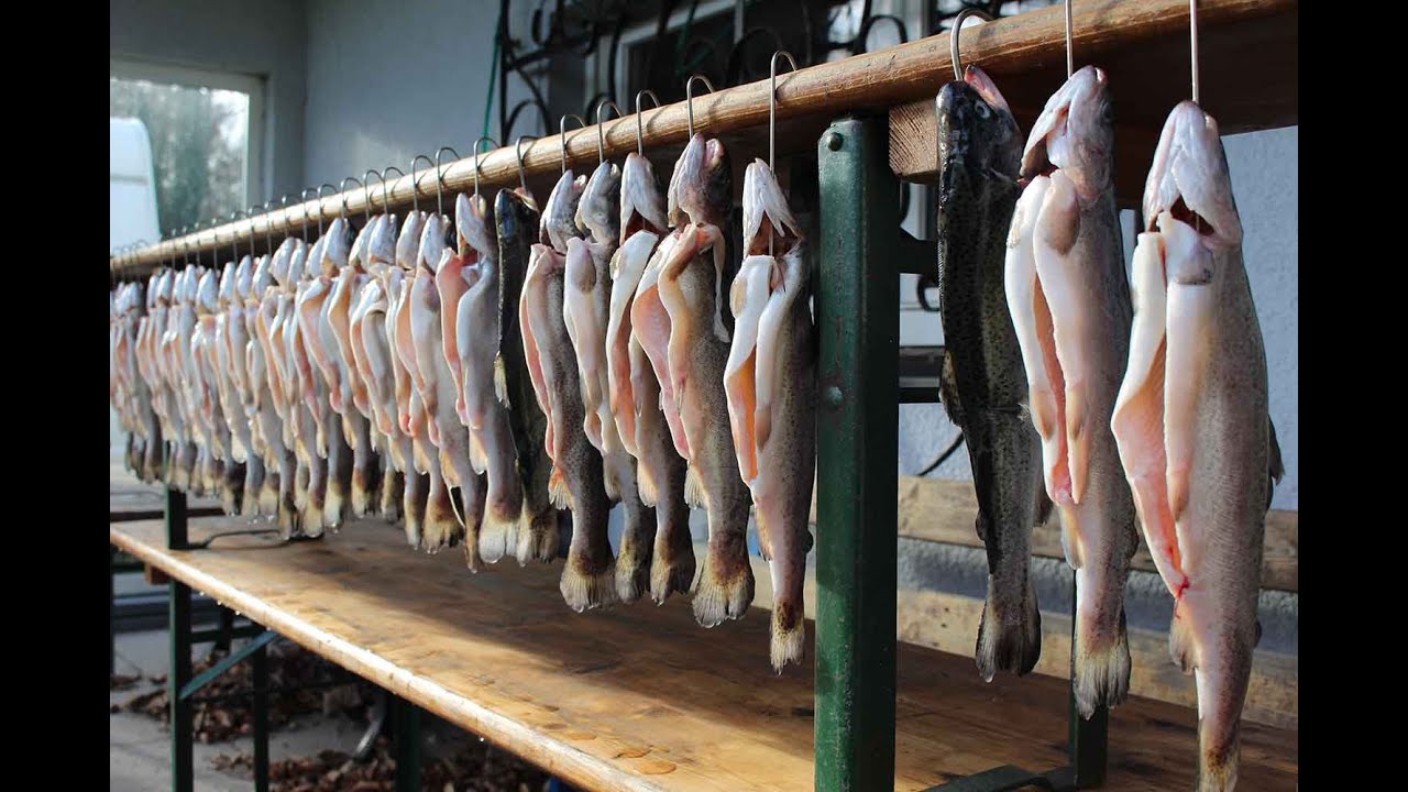 Forellen frisch geräuchert ein Traum