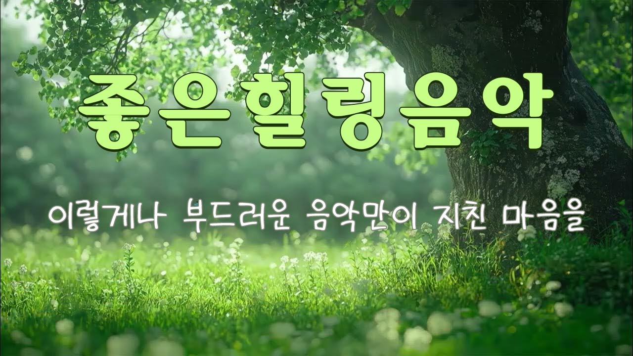 이렇게나 부드러운 음악만이 지친 마음을 위로할 수 있어요!🎵 스트레스 해소에 좋은 힐링 음악 - 휴식/명상/공부/일/산책/샤워