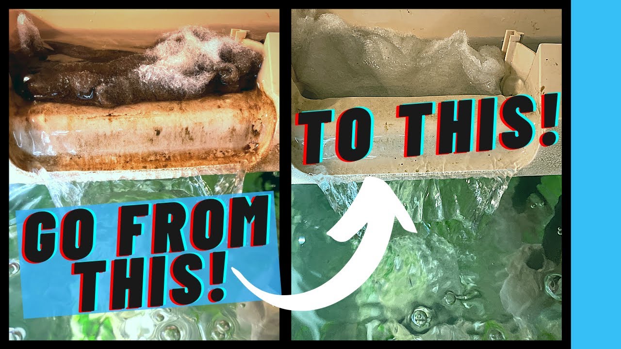 How to CLEAN Hang on Back Filter | Cleaning Hang on Back filter