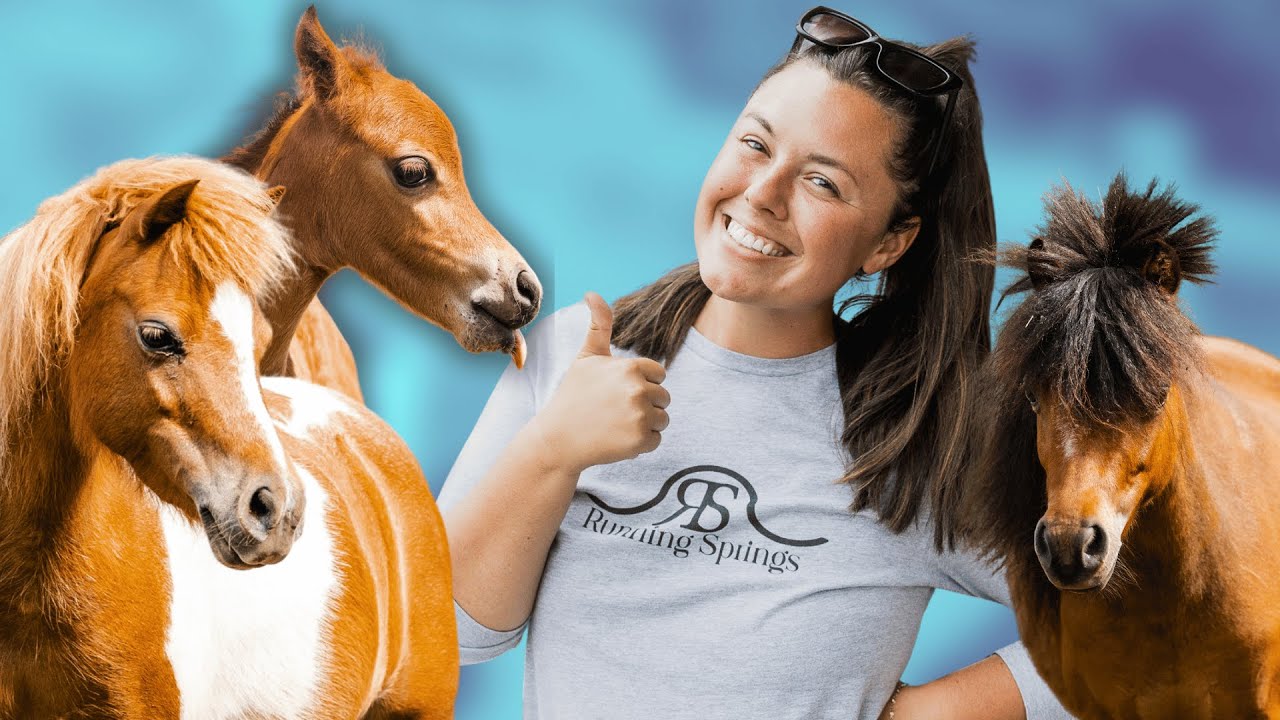 The REAL Names Of My Animals...