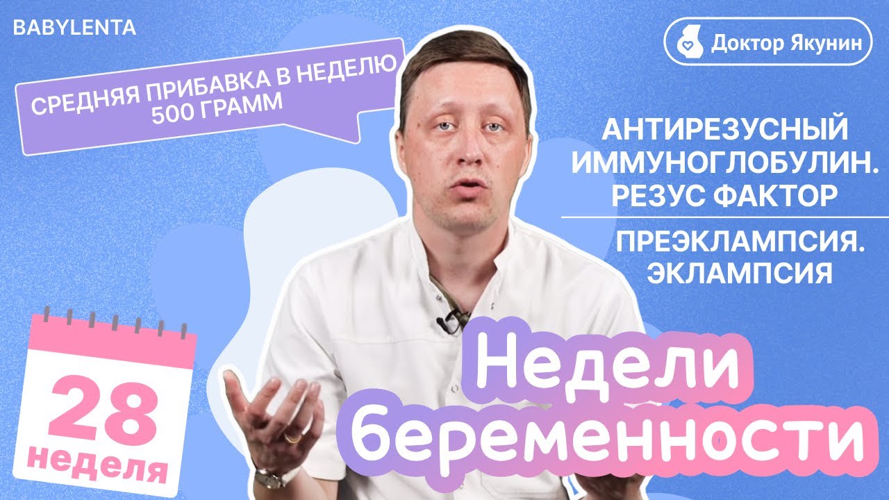 28 неделя беременности - УЗИ, что происходит, как выглядит малыш, шевеления, преэклампсия, эклампсия
